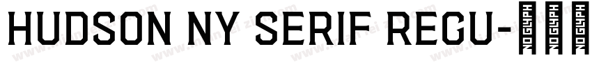 Hudson NY Serif Regu字体转换